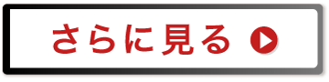 さらに見る